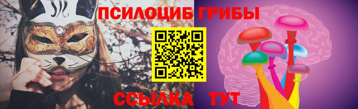 Псилоцибиновые грибы Cubensis Элиста
